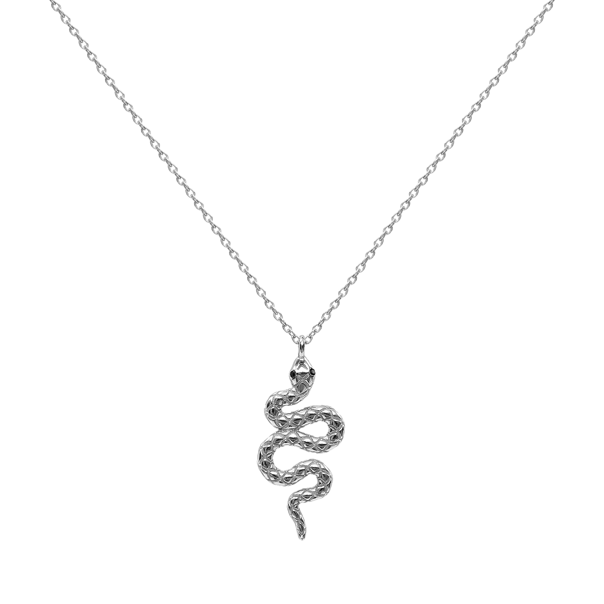 ANACONDA SILVER